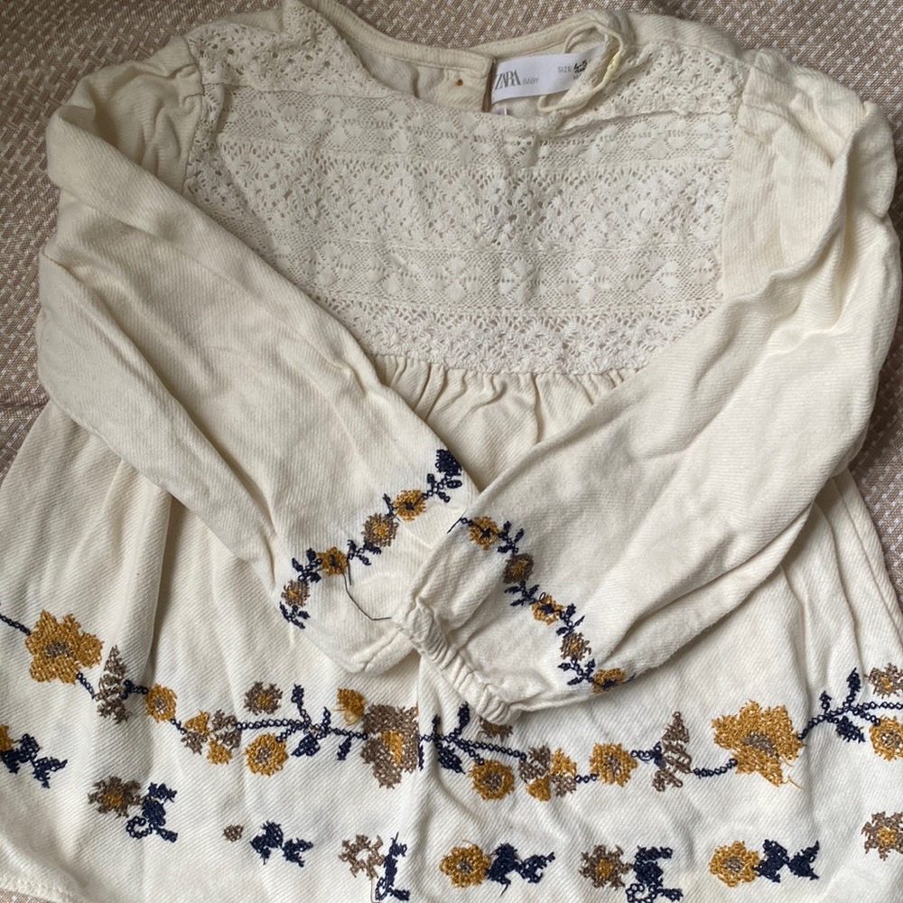Zara embroidered top